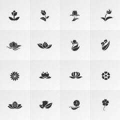 Silhouette fantasy logo flower lotus rose tulip sunflower daisy clover leaf icon set, create by vector
