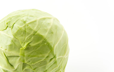 Fototapeta premium Fresh cabbage