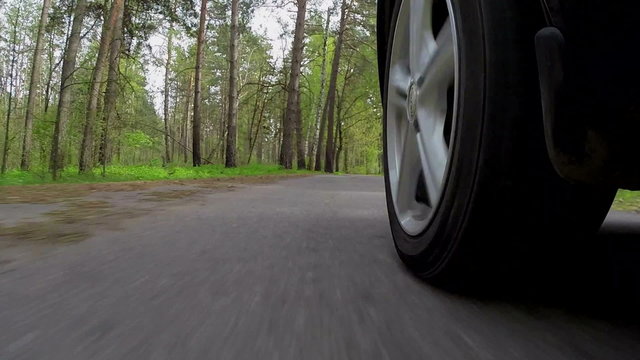 The wheel of the car goes on the forest road
