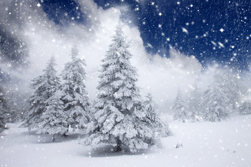 Christmas background with snowy fir trees