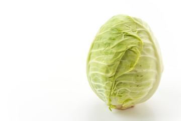 Fresh cabbage