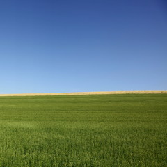 Obraz premium Fond d'écran- Biodiversité.