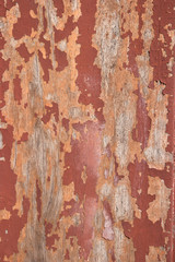 Wood old wall background
