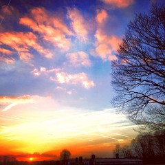 Obraz premium sunset over farmland