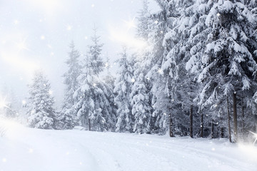 Christmas background with snowy fir trees