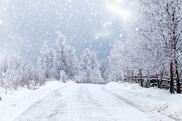 Fototapeta premium Christmas background with snowy fir trees