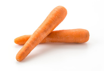 carrot