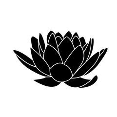 lotus flowers icon