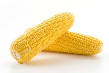 fresh corn