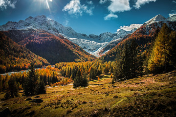 alpine landscape in autumn - Chiareggio - Italy