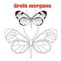 Educational game coloring book  butterfly vector