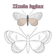 Educational game coloring book  butterfly vector