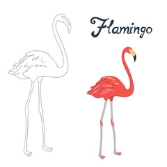 Educational game coloring book bird  vector