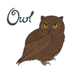 Bird owl vector illustration