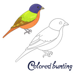 Educational game coloring book bird