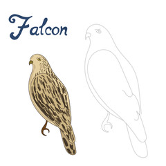Educational game connect dots to draw falcon bird