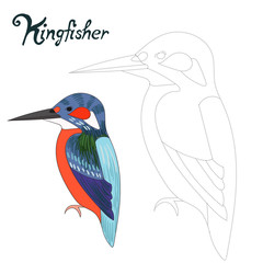 Educational game connect dots draw kingfisher bird