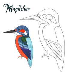 Obraz premium Educational game coloring book kingfisher bird