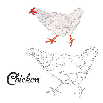 Educational game connect dots to draw chicken bird