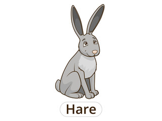 Forest animal hare cartoon for children vector