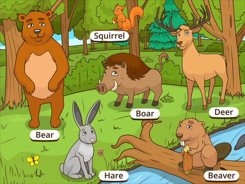 Forest cartoon animals with names vector
