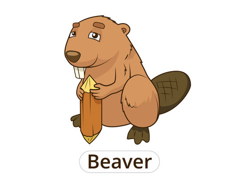 Forest animal beaver cartoon for children vector