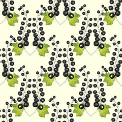 Black currant berry seamless pattern background