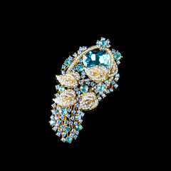 Luxury brooch on a black background
