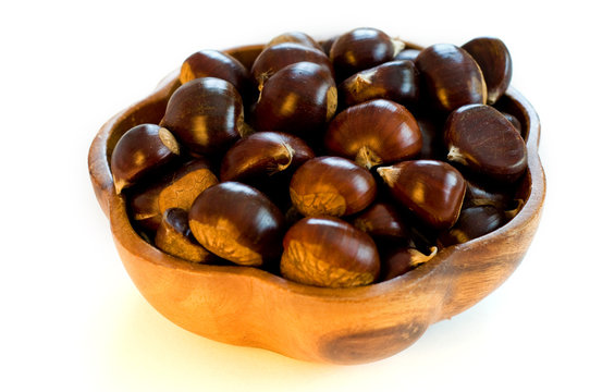Kestane