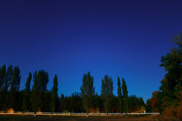 Illuminated car road in the woods on a background of the starry sky