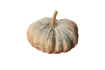 Raw Thai pumpkin isolated background