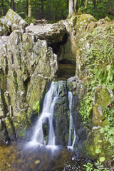 Fototapeta premium Chute d'eau en forêt, chute d'eau dans un lac, dans une forêt dans la région des Vosges pendant le moi de juillet.