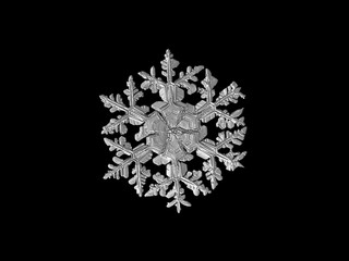Real snowflake photo, monochrome variant, isolated on black background
