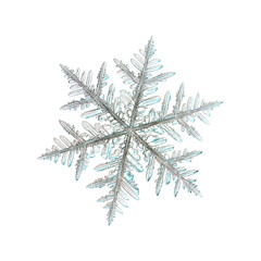 Real snowflake photo (large stellar dendrite crystal), isolated on white background