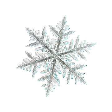 Real Snowflake Photo (large Stellar Dendrite Crystal), Isolated On White Background