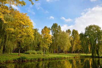 Fantastic autumn landscape with yellow trees near the pond (rest