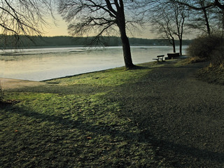 Ice sunset tree with frosty grass, silhouette tree and stone jetty by the lake, winter landscape detail, Stockholm, Sweden.