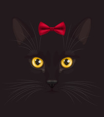 Black cat with bow