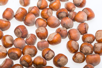 Pile of hazelnuts isolated on white background