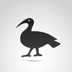 Exotic bird from Egypt. Vector art.