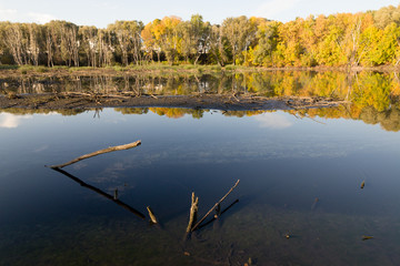 cluttered city lake