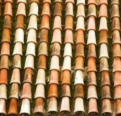 old moroccan  tile roof in the old city