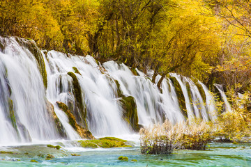 Arrow bamboo waterfall jiuzhaigou scenic