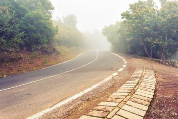 Foggy Country Road. 