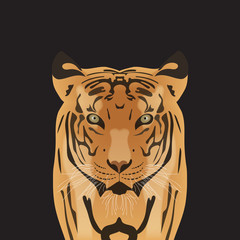 Flat vector portrait of a tiger. Beautiful face of a big cat with penetrating eyes.