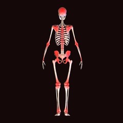 skeleton body pain