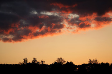 contrasting sunset over trees