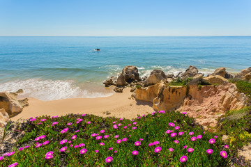 View of the beach from the top spring flowers. Albufeira Portugal ..