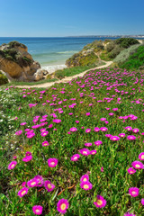 Fototapeta premium Vertical spring landscape beach Gale. Albufeira Portugal .