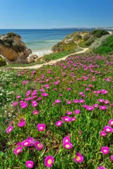Foto auf Leinwand Vertical spring landscape beach Gale. Albufeira Portugal . © sergojpg